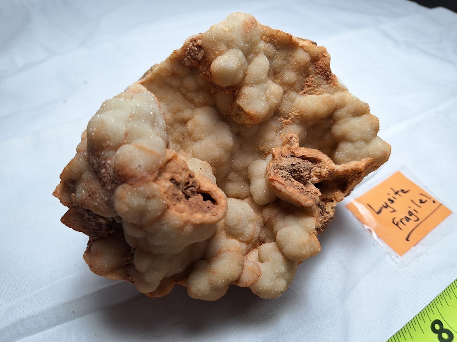 Image for Lapidary: Agates, Specimens & More