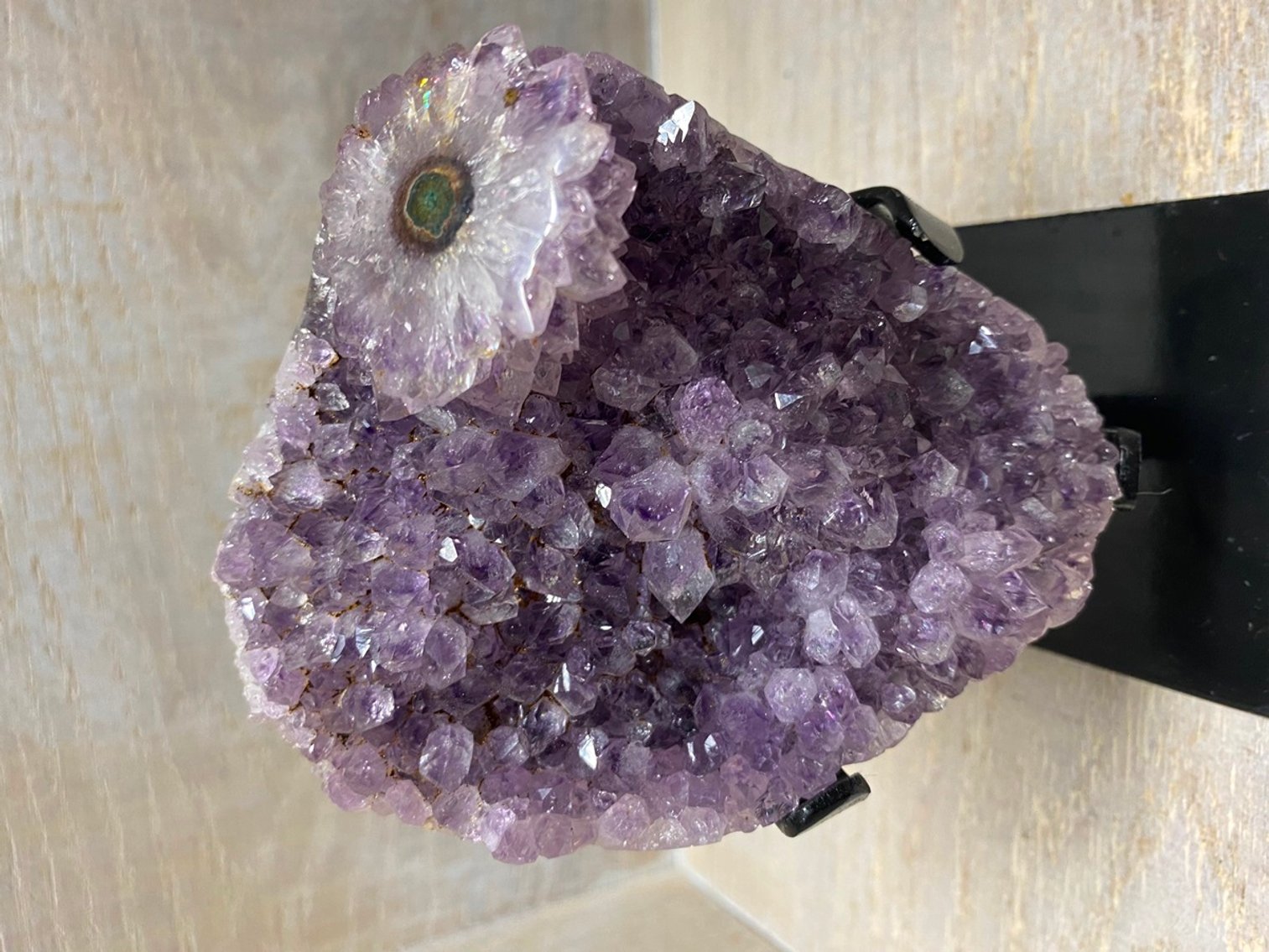 Image for Lapidary: Agates, Crystals, Minerals & More