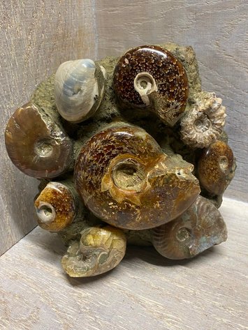 Image for Lapidary: Agates, Crystals, Minerals & More