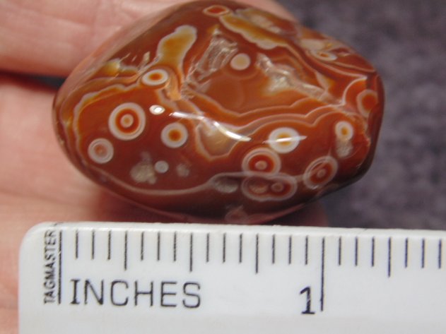 Image for Lapidary: Agates, Fossils, Equipment & More