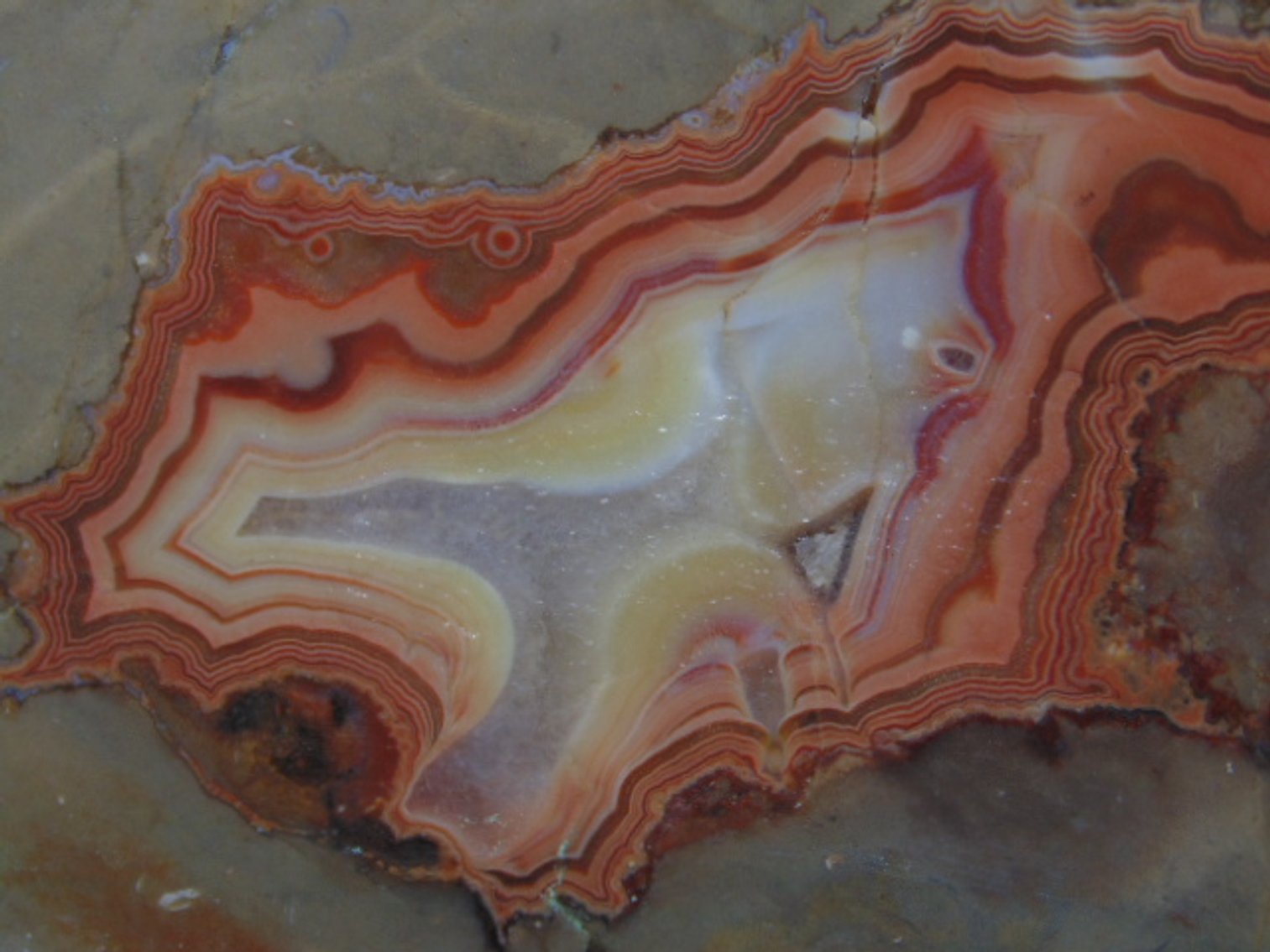 Image for Lapidary: Agates, Fossils, Equipment & More