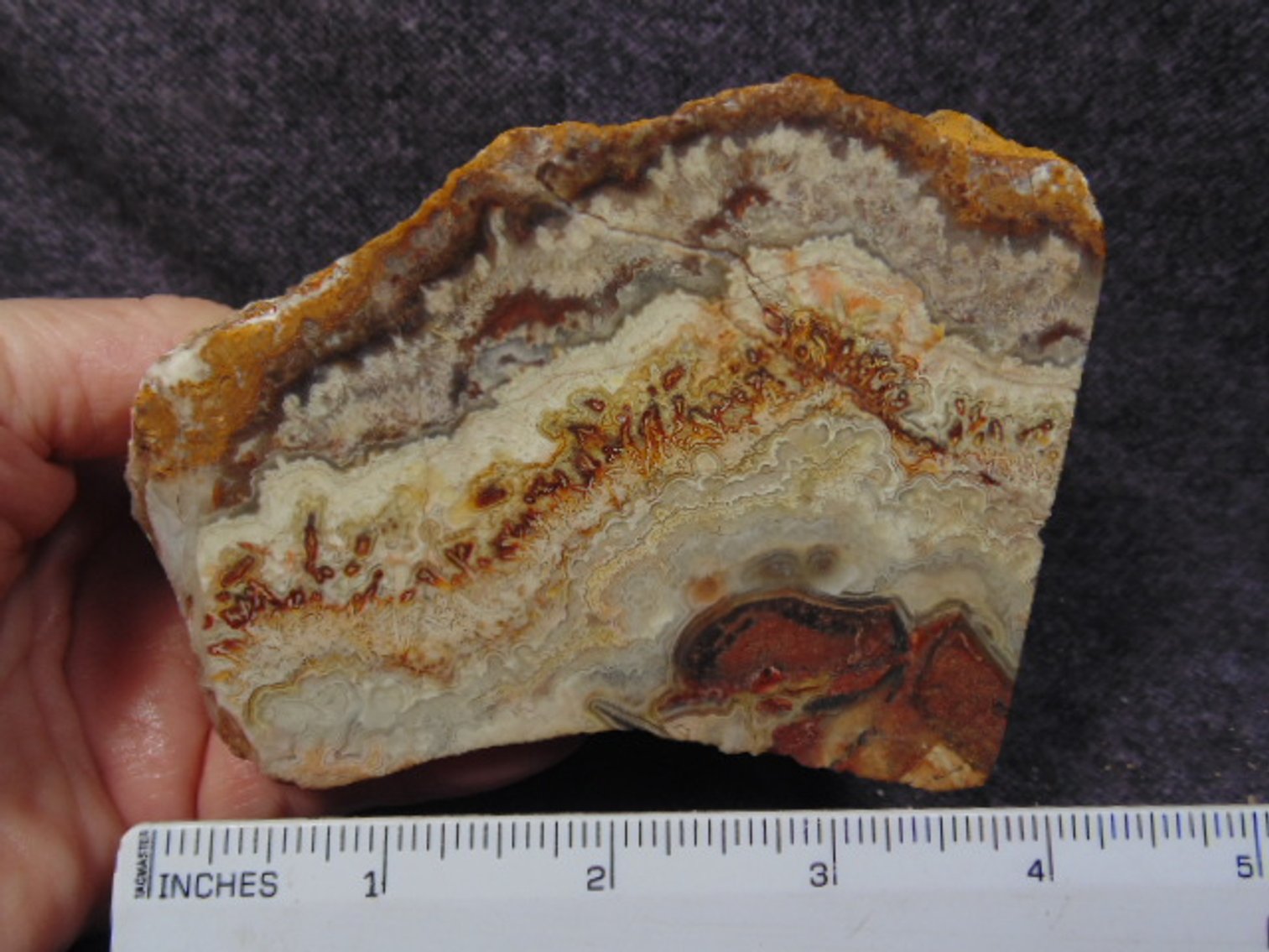 Image for Lapidary: Agates, Fossils & More