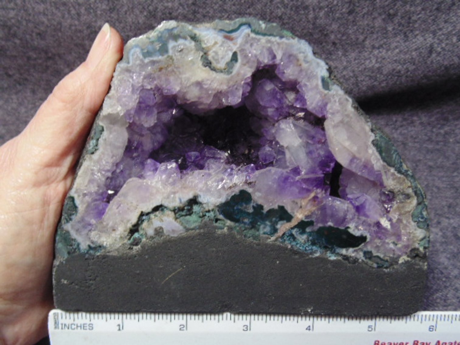 Image for Lapidary: Agates, Fossils & More