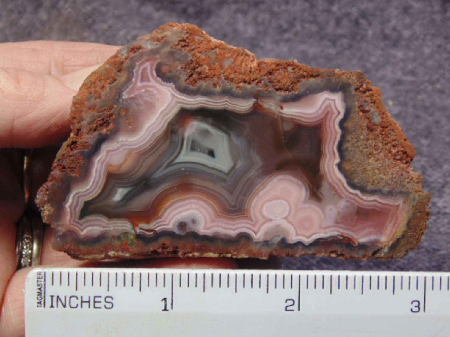 Image for Lapidary: Agates, Fossils & More