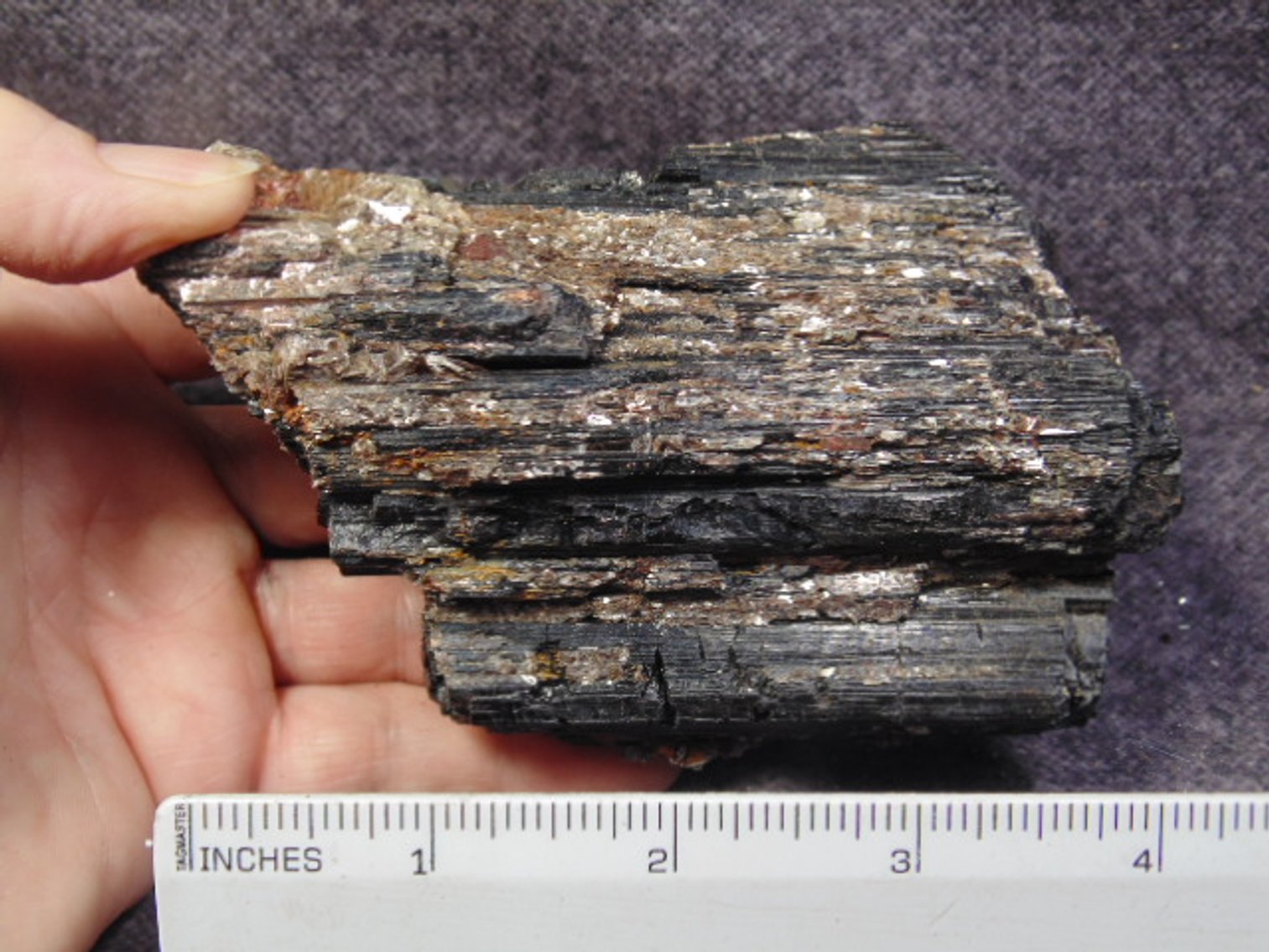 Image for Lapidary: Agates, Fossils & More