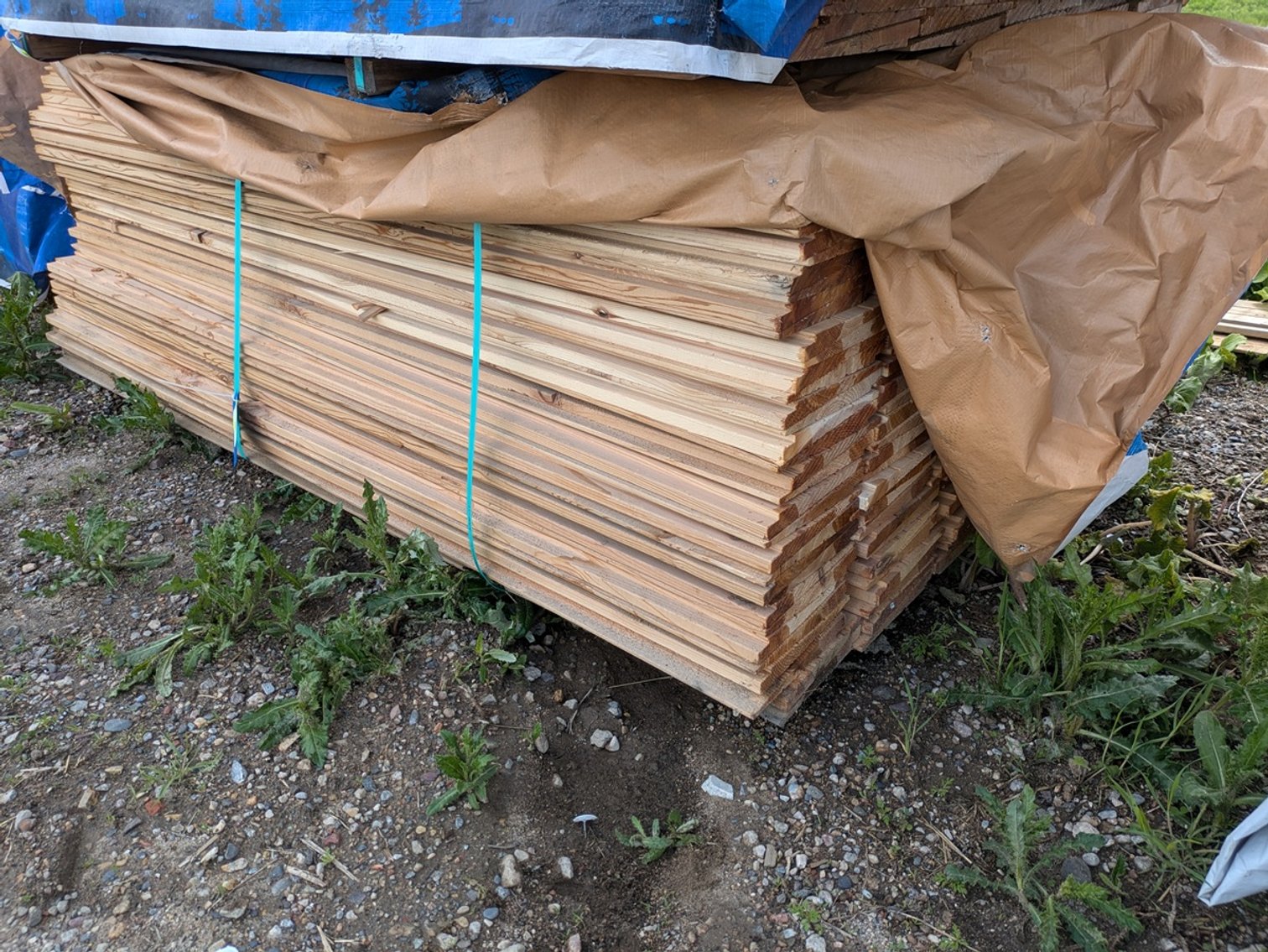 Image for Lumber: Western Red Cedar & More