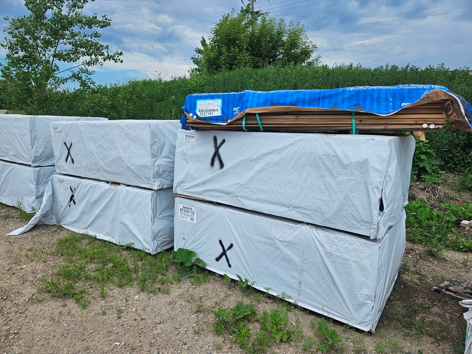 Image for Lumber: Western Red Cedar & More