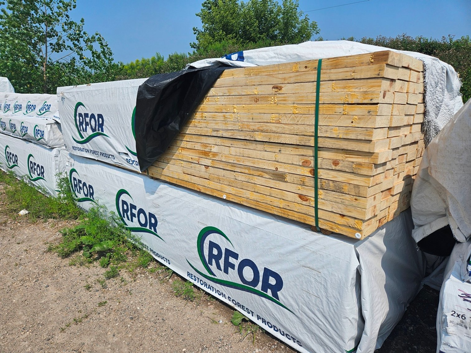 Image for Lumber; Cedar, Pine and More