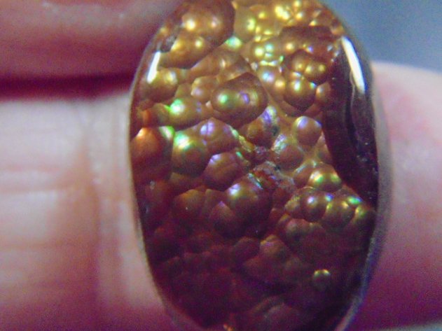 Image for Lapidary: Agates, Equipment, Fossils & More