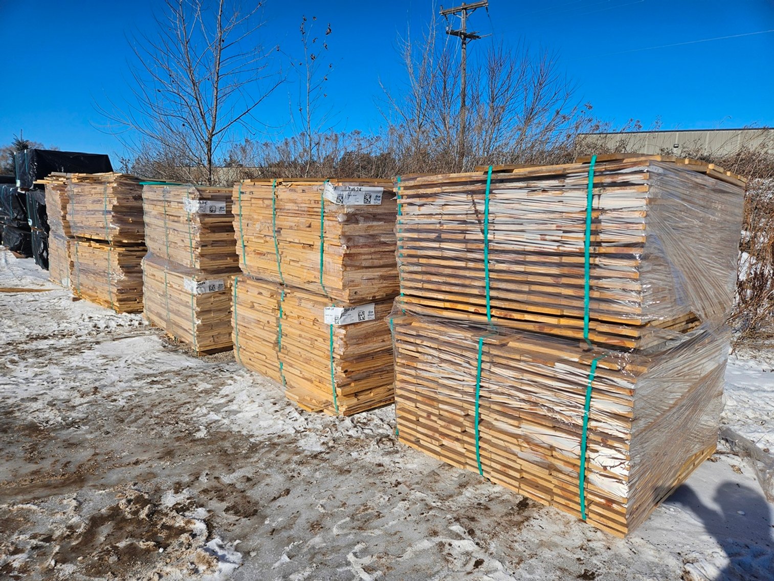 Image for Lumber: Pine, Douglas Fir and Hemlock