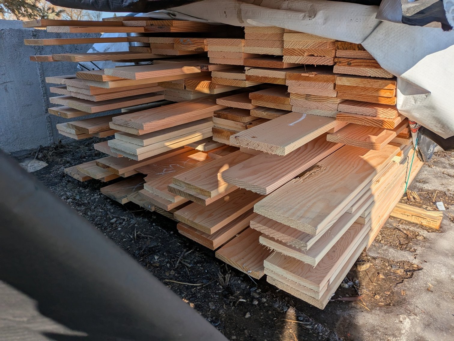 Image for Lumber: Pine, Douglas Fir and Hemlock