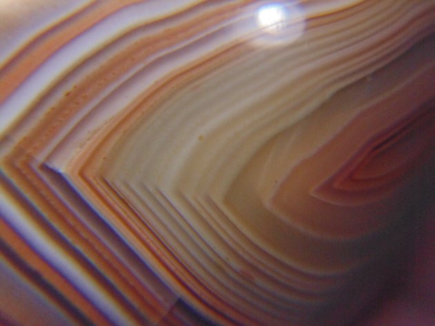 Image for Lapidary: Agates, Equipment, Fossils & More