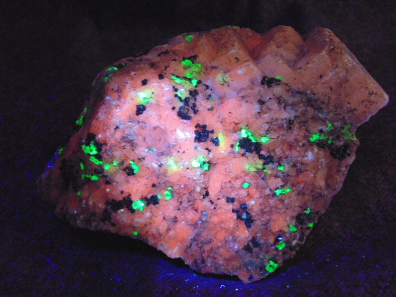 Image for Lapidary: Agates, Equipment, Fossils & More