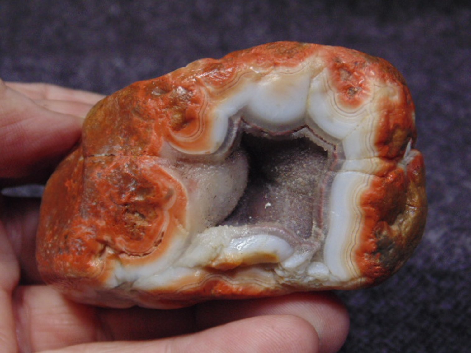 Image for Lapidary: Agates, Equipment, Fossils & More