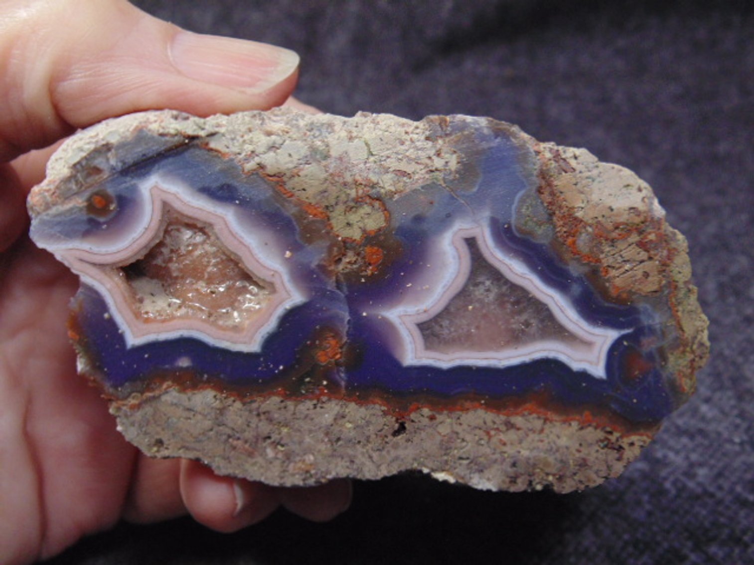 Image for Lapidary: Agates, Equipment, Fossils & More