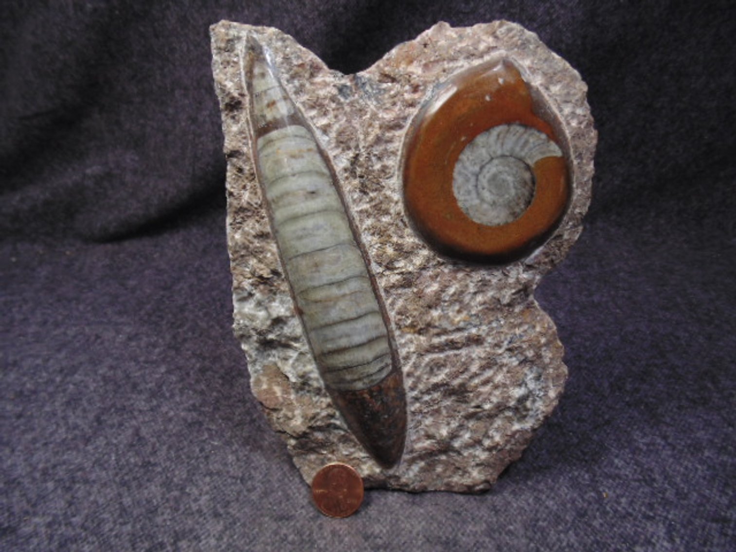 Image for Lapidary: Agates, Equipment, Fossils & More