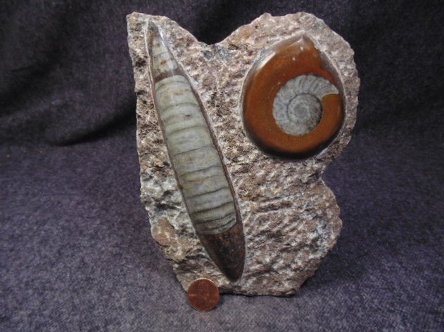 Image for Lapidary: Agates, Equipment, Fossils & More