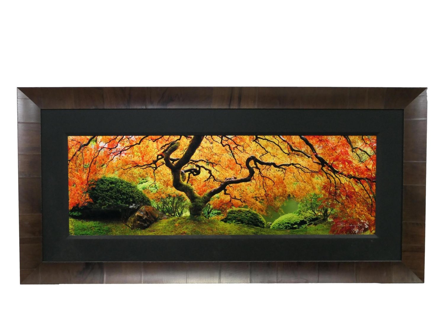 Image for Timeless Elegance: A Journey Through Centuries of Fine Furniture & Art