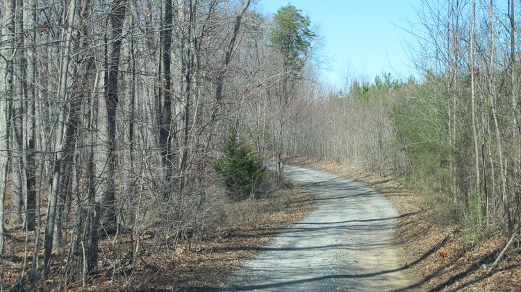 Image for AUSTIN ESTATE REAL ESTATE AUCTION - 55.37 +/- ACRES IN 3 TAX PARCELS - CAMPBELL COUNTY VA