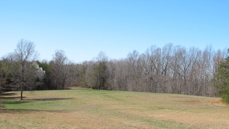 Image for AUSTIN ESTATE REAL ESTATE AUCTION - 55.37 +/- ACRES IN 3 TAX PARCELS - CAMPBELL COUNTY VA