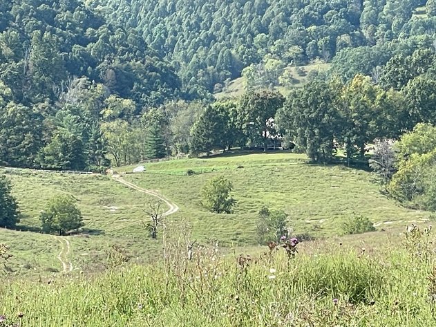 Image for 322 Acres (+/-) ONLINE ONLY REAL ESTATE AUCTION SALTVILLE, VA