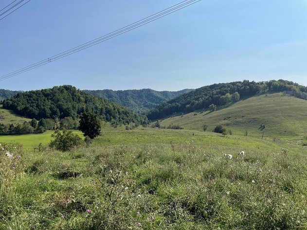 Image for 322 Acres (+/-) ONLINE ONLY REAL ESTATE AUCTION SALTVILLE, VA