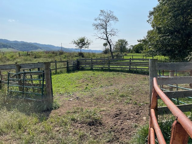 Image for 322 Acres (+/-) ONLINE ONLY REAL ESTATE AUCTION SALTVILLE, VA