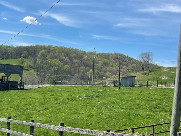 Image for ONLINE ONLY FARM LAND AUCTION SMYTH COUNTY, VA