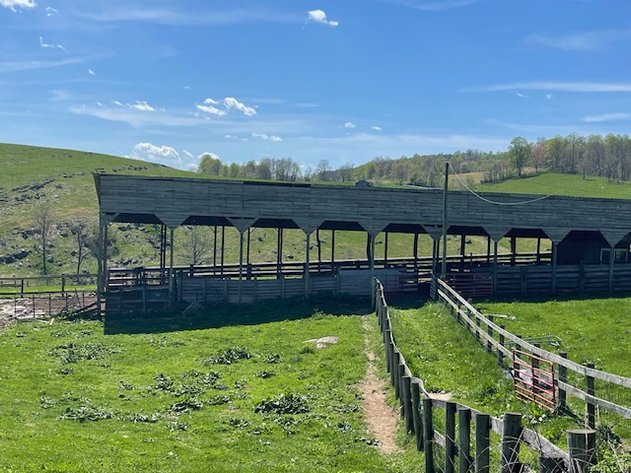 Image for ONLINE ONLY FARM LAND AUCTION SMYTH COUNTY, VA