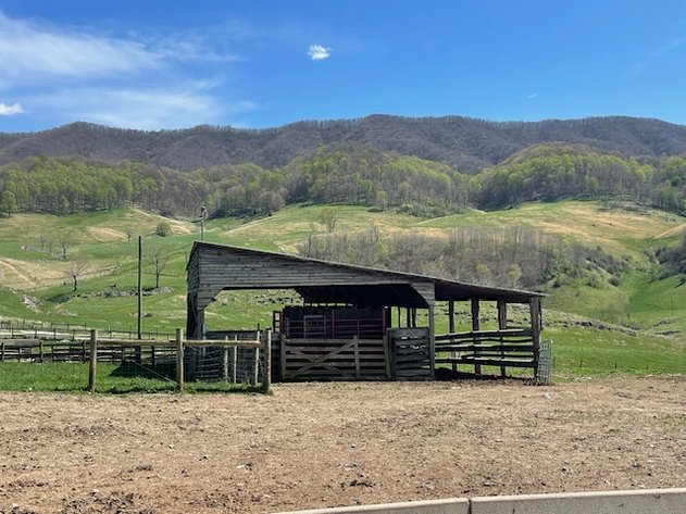 Image for ONLINE ONLY FARM LAND AUCTION SMYTH COUNTY, VA