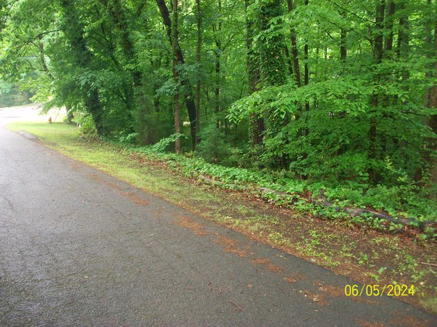 Image for BIRNAM WOOD PROPERTIES - DANVILLE, VA - 29 LOTS GROUPED INTO 12 PARCELS