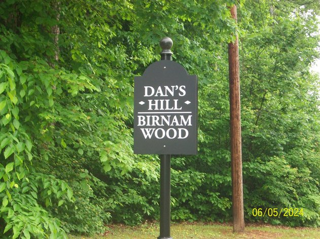 Image for BIRNAM WOOD PROPERTIES - DANVILLE, VA - 29 LOTS GROUPED INTO 12 PARCELS