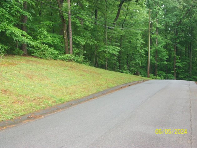 Image for BIRNAM WOOD PROPERTIES - DANVILLE, VA - 29 LOTS GROUPED INTO 12 PARCELS