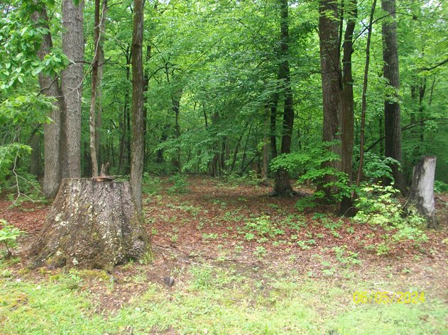 Image for BIRNAM WOOD PROPERTIES - DANVILLE, VA - 29 LOTS GROUPED INTO 12 PARCELS