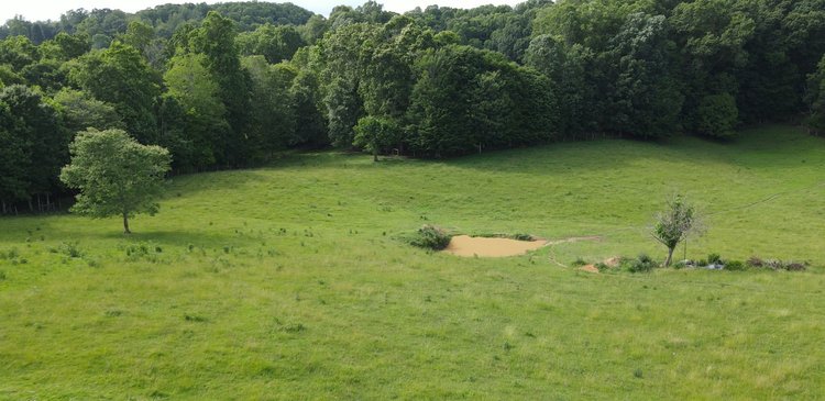 Image for ONLINE ONLY FARM/LAND AUCTION 69.1 Acres (+/-) Glade Spring, VA