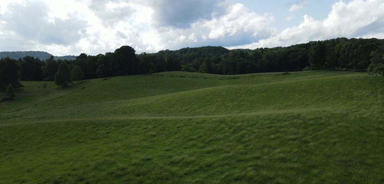 Image for ONLINE ONLY FARM/LAND AUCTION 69.1 Acres (+/-) Glade Spring, VA