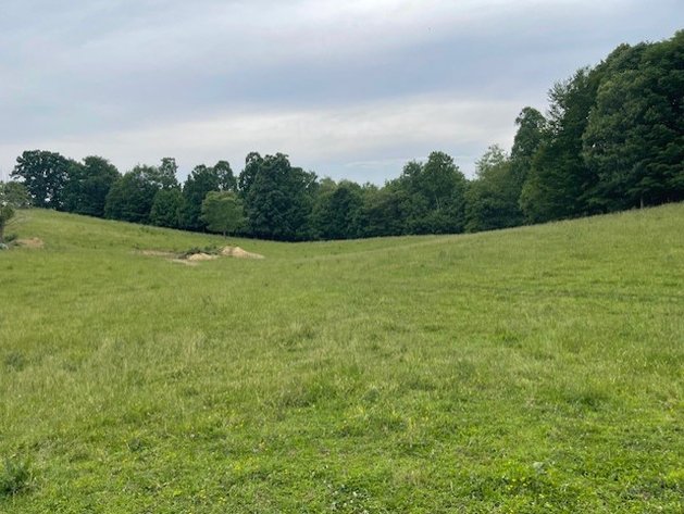 Image for ONLINE ONLY FARM/LAND AUCTION 69.1 Acres (+/-) Glade Spring, VA