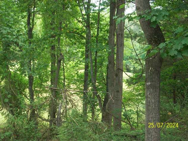 Image for ABSOLUTE TRUSTEE AUCTION - 2 TRACTS OF LAND - ALBEMARLE COUNTY