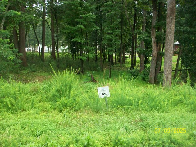 Image for ABSOLUTE TRUSTEE AUCTION - 0.91 ACRE WATERFRONT LOT ON SMITH MOUNTAIN LAKE.