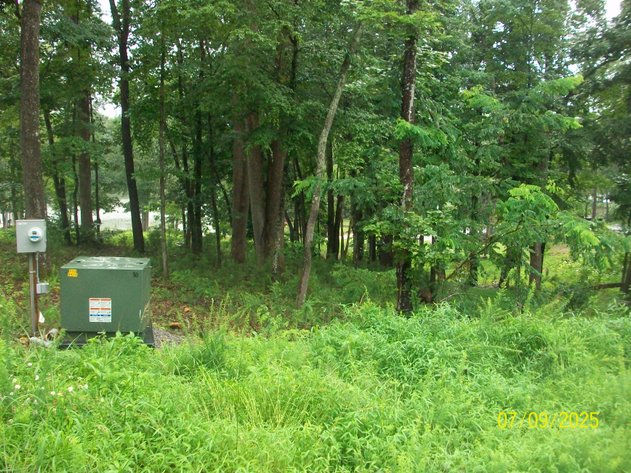 Image for ABSOLUTE TRUSTEE AUCTION - 0.91 ACRE WATERFRONT LOT ON SMITH MOUNTAIN LAKE.