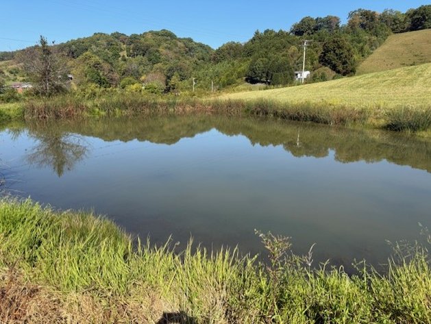 Image for ONSITE REAL ESTATE AUCTION Washington County, VA