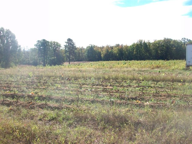 Image for ***CANCELLED*** ABSOLUTE TRUSTEE AUCTION - 4 TRACTS OF LAND - VIRGILINA VA