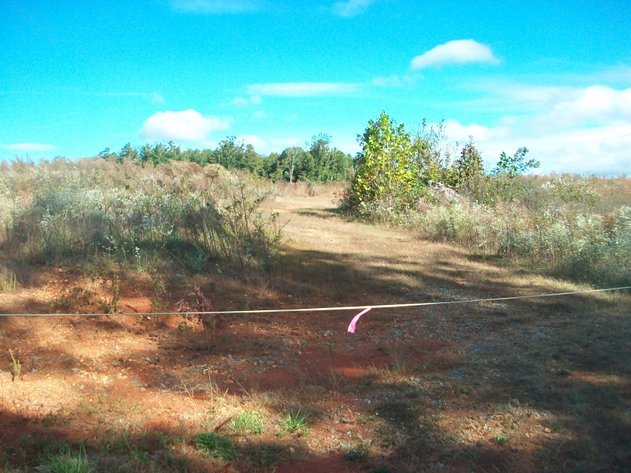 Image for ***CANCELLED*** ABSOLUTE TRUSTEE AUCTION - 4 TRACTS OF LAND - VIRGILINA VA