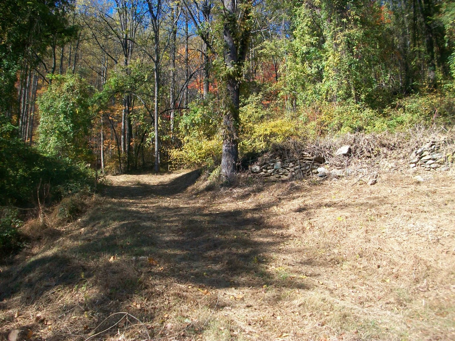 Image for 66.84 +/- ACRES FOR SALE IN NELSON COUNTY BELOW WINTERGREEN RESORT