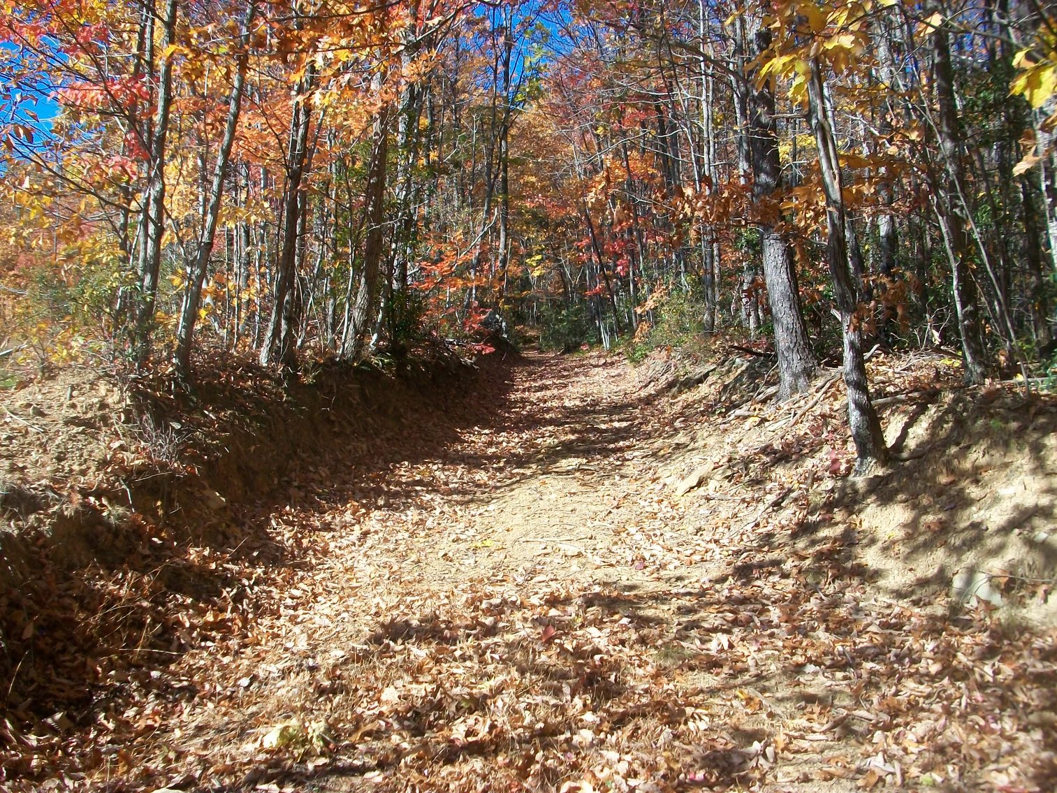 Image for 66.84 +/- ACRES FOR SALE IN NELSON COUNTY BELOW WINTERGREEN RESORT