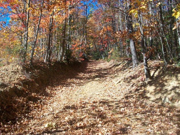 Image for 66.84 +/- ACRES FOR SALE IN NELSON COUNTY BELOW WINTERGREEN RESORT