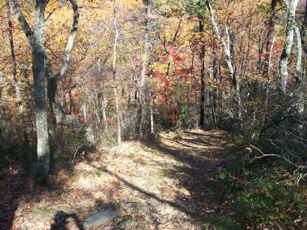 Image for 66.84 +/- ACRES FOR SALE IN NELSON COUNTY BELOW WINTERGREEN RESORT