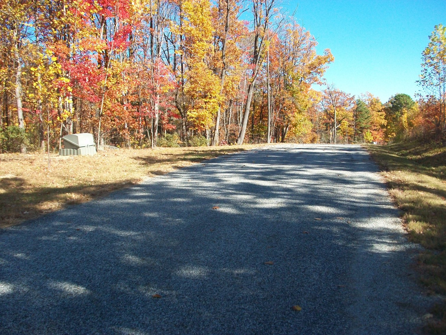 Image for 66.84 +/- ACRES FOR SALE IN NELSON COUNTY BELOW WINTERGREEN RESORT