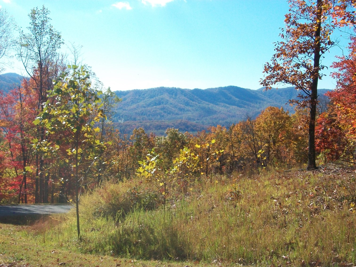 Image for 66.84 +/- ACRES FOR SALE IN NELSON COUNTY BELOW WINTERGREEN RESORT