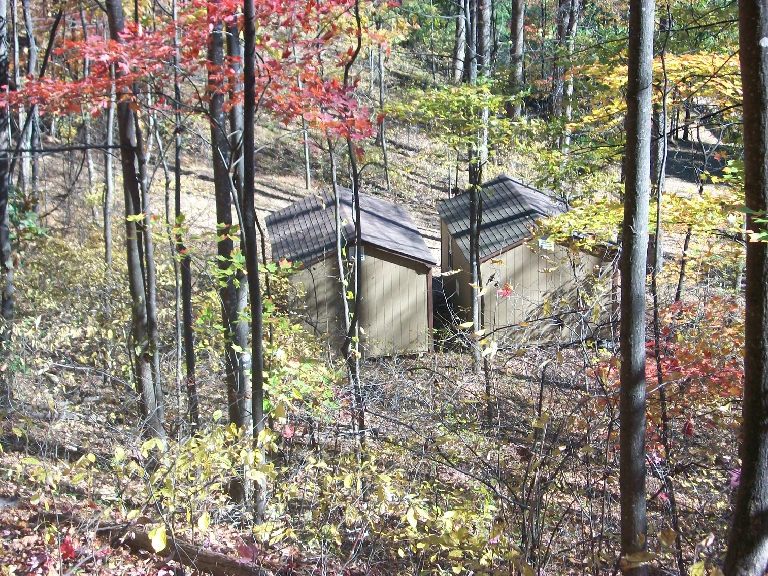 Image for 66.84 +/- ACRES FOR SALE IN NELSON COUNTY BELOW WINTERGREEN RESORT